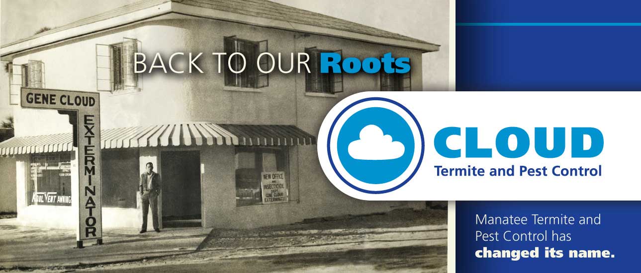 Pest Control Exterminator & Termite Treatment Cloud Pest Control