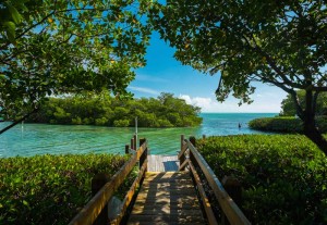 dock-in-florida