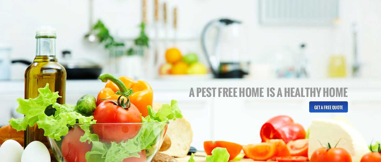 Cloud Termite and Pest Control Formerly Manatee Termite & Pest Control